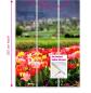 Preview: Tulpenfluss, Flächenvorhang 3er Set